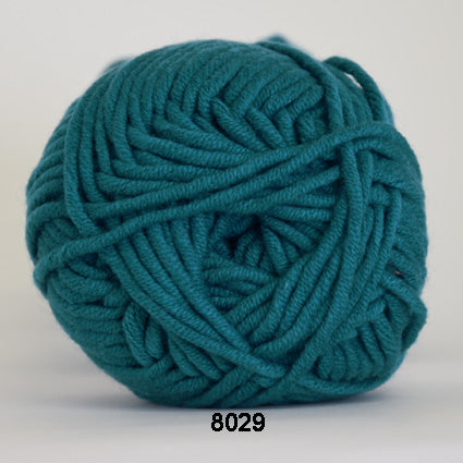 Soon                    fv 8029