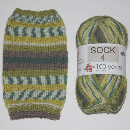 Hjertegarn Sock 4